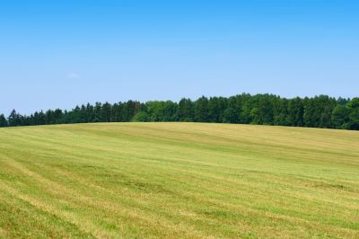 Controls weed growth