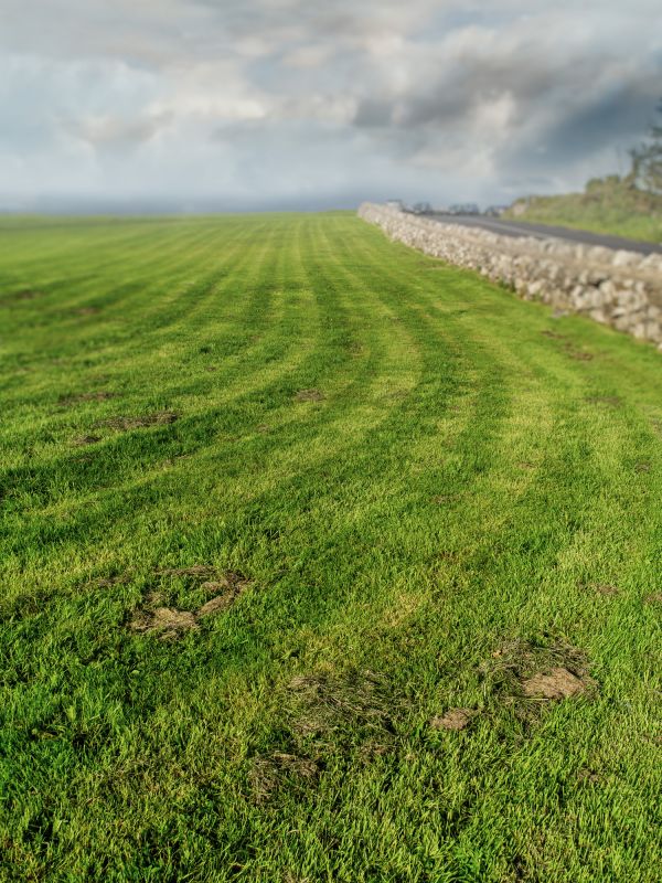 Field Mowing Service