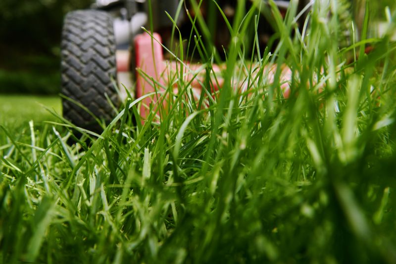 Brush Mowing Service in Waldorf, MD