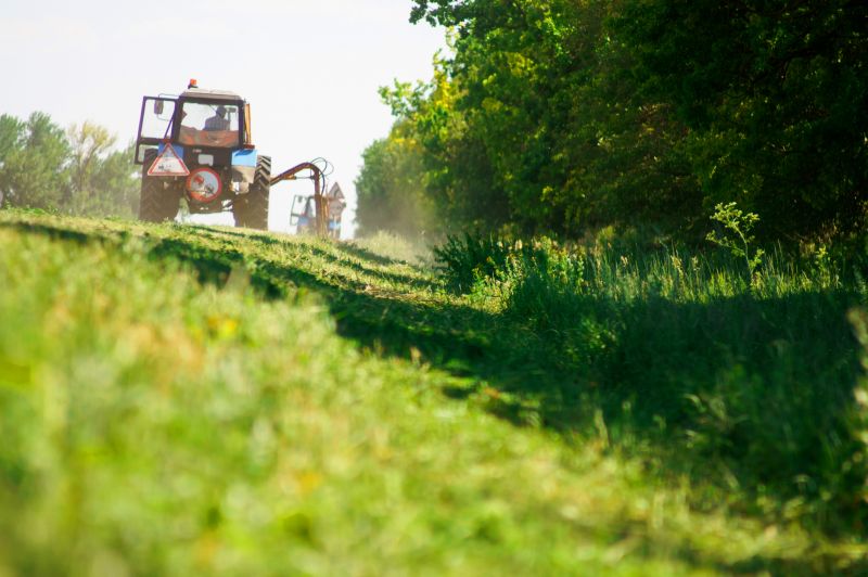 Bush Hogging Service in Duluth, MN