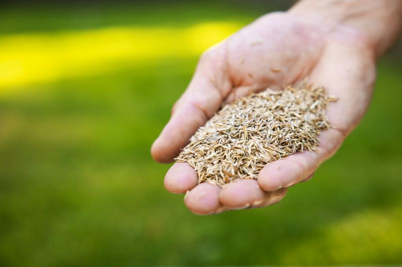 Commercial Grass Seeding in Ventura County, CA