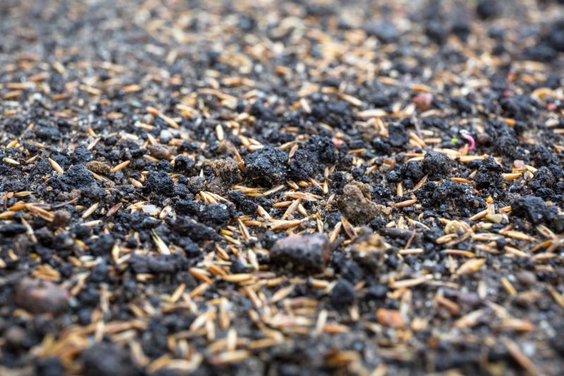 Commercial Lawn Seeding in Honolulu, HI