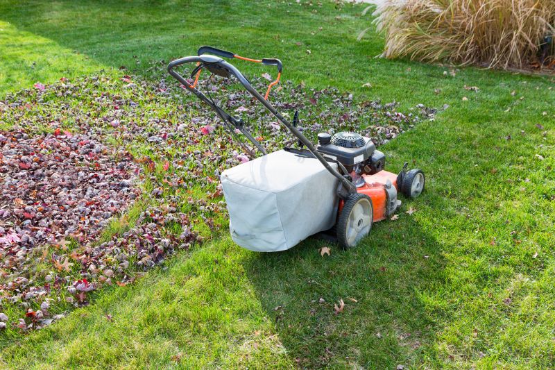 Proper Lawn Maintenance Tools