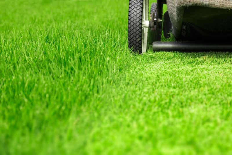 Lawn Cutting Service in Bowie, MD