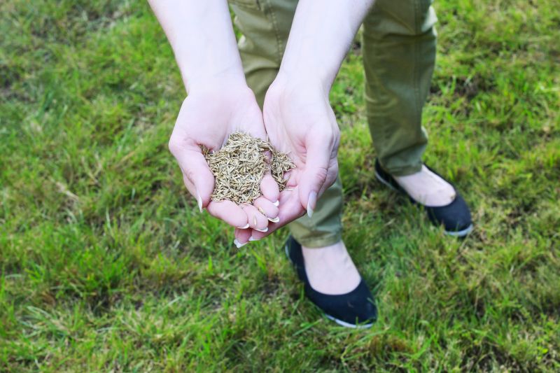 Lawn Reseeding Service in Ventura County, CA