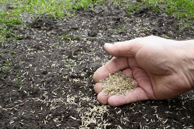 Reseeding Service in Ventura County, CA