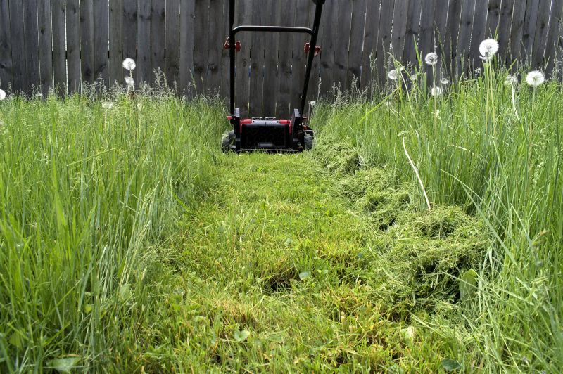 Vacant Lot Mowing in Prince Georges County, MD
