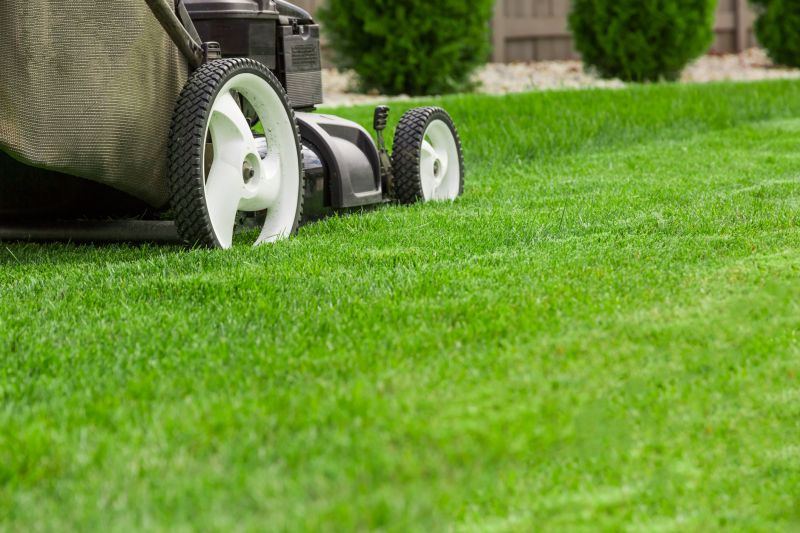 Weekly Lawn Care in Bowie, MD
