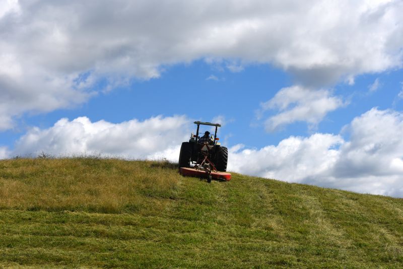 Improves land appearance